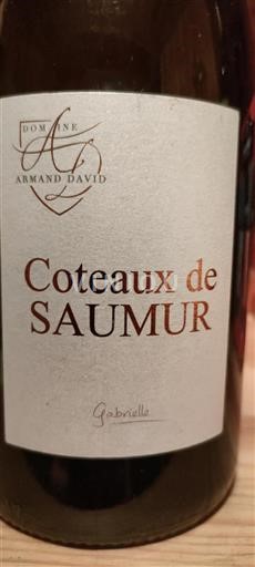 Valle della Loira Coteaux-de-saumur Domaine Armand David Gabrielle Senza annata