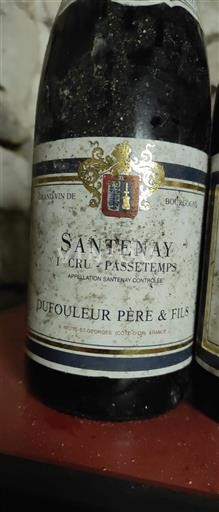 Burgundsko Santenay Premier Cru Dufouleur Père & Fils Passe-Temps 2013
