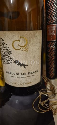 Beaujolais Non specificato Cyril Coperet 2022