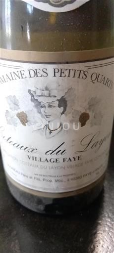 Loirevallei Coteaux du Layon Domaine Des Petits Quarts Village Faye Niet-geïntegreerd