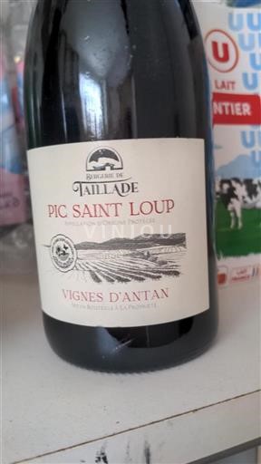 Languedoc Pic-saint-loup Bergerie de Taillade Vignes d'Antan 2023