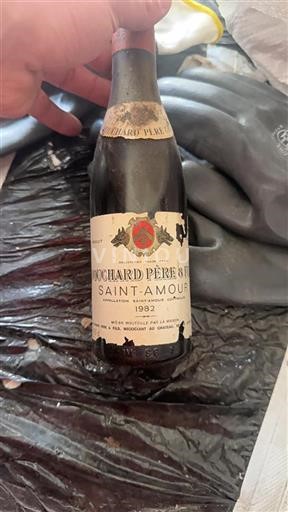 Beaujolais Saint-Amour Bouchard Père & Fils 1982