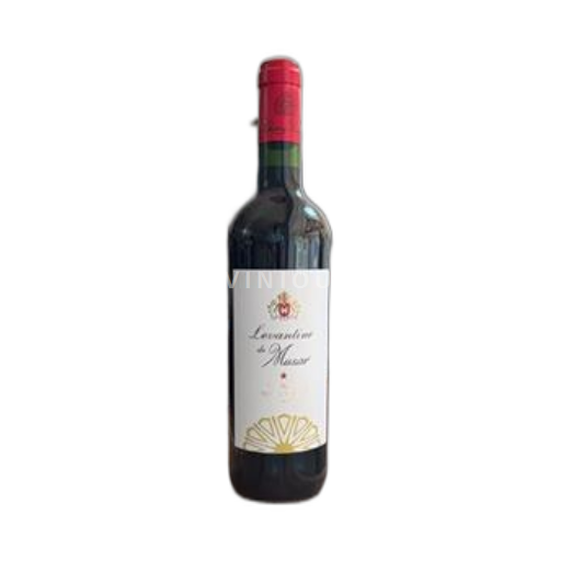 Becá. Cava di Baalbek Château Musar 2022 2022