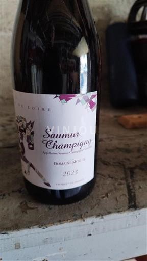 Valle della Loira Saumur-Champigny Domaine Mollay 2023