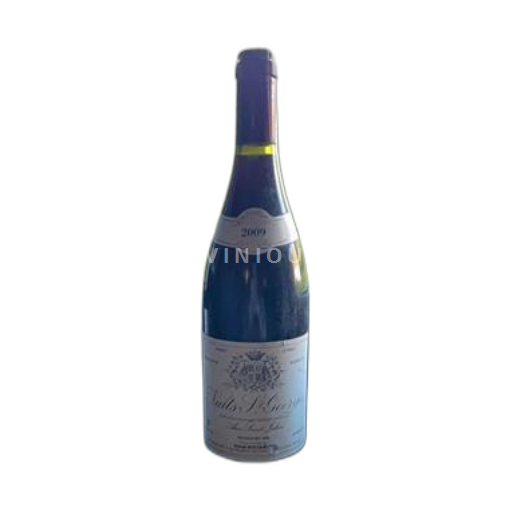 Borgoña Nuits-Saint-Georges Daniel Bocquenet Aux Saint Julien 2009