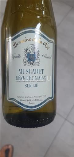 Valle della Loira Muscadet Sèvre et Maine Domaine La Noë 2024