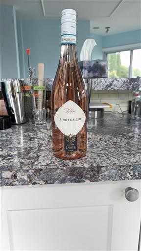 Trentino-Alto Adige Non specificato Cantina Lavis 2024