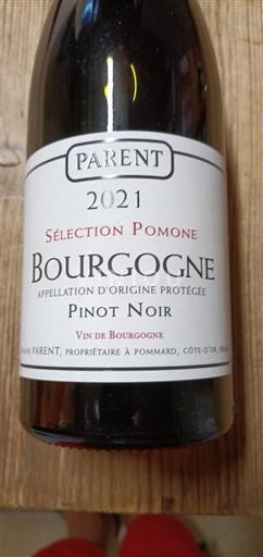 Borgogna Parent Sélection Pomone 2021