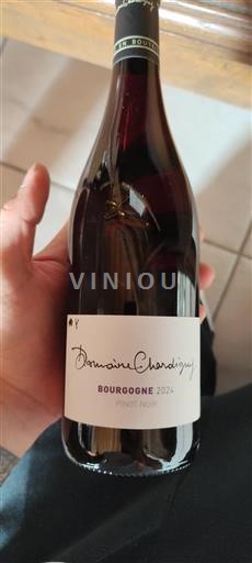 Borgogna Domaine Chardigny 2024