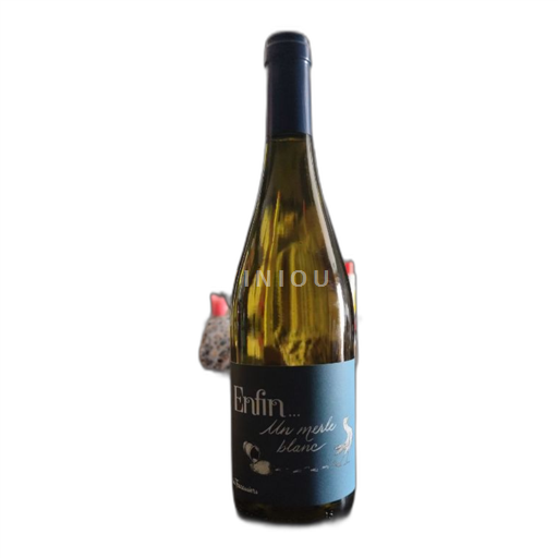 Linguadoca e Rossiglione Coteaux del Ponte di Gard Les Tracassiers Enfin... Un muscat blanc sec 2023