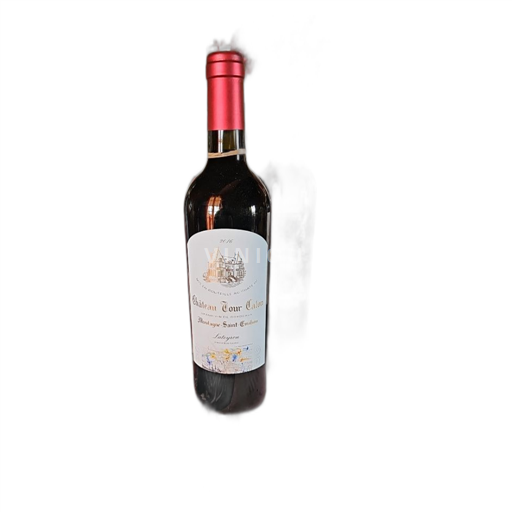 Bordeaux Montagne-Saint-Émilion Château Tour Calon 2016