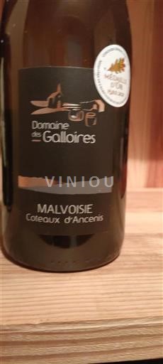 Valle della Loira Coteaux-d'Ancenis Domaine Des Galloires 2024