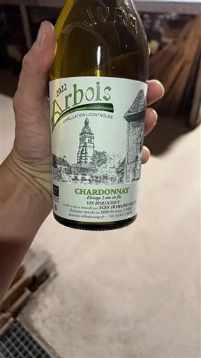 Jura Arbois Domaine Villet 2022
