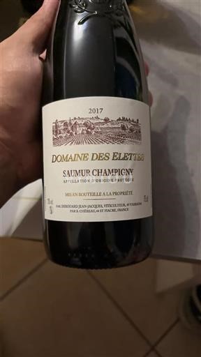 Vallée de la Loire Saumur-champigny Domaine Des Elettes 2017