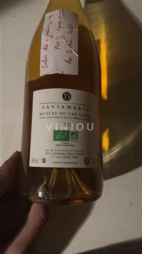 Corsica Muscat du Cap Corse Domaine S Santamaria 2021