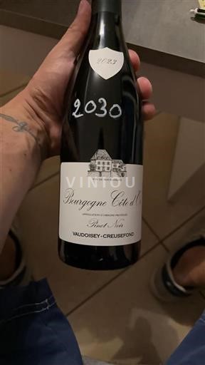Burgundsko Burgundsko Côte d'Or Vaudoisey-Creusefond 2023