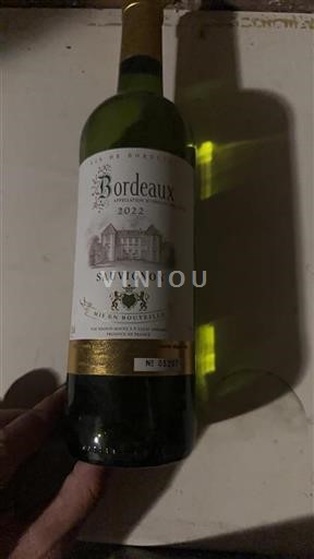 Vin Blanc sec Sauvignon 2022 France Bordeaux AOC