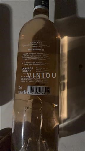 Bordeaux Charles et César Beaux Parleurs Rosé 2022