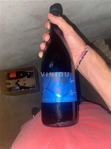 Alpen und Rhônetal Rhodanische Hügellandschaft Laurent Combier Syrah 2024