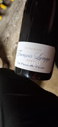 Burgundy Givry Domaine François Lumpp Le Pied du Clou 2023