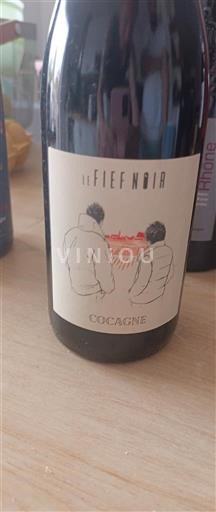 Loirevallei Niet gespecificeerd Le Fief Noir Cocagne 2022