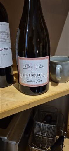 Valle della Loira Saint-Pourçain Billaud-Chaumeau Chardonnay-Tressallier 2023