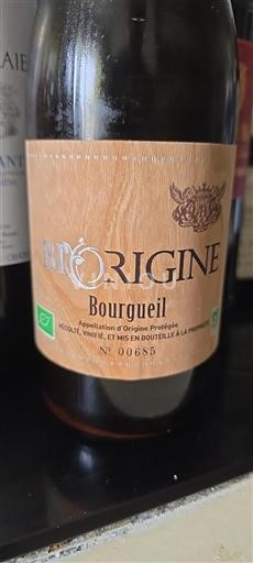 Valle della Loira Bourgueil Biorigine 2018