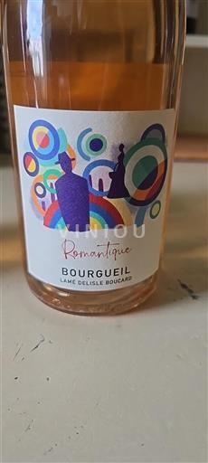 Vallée de la Loire Bourgueil Lamé Delisle Boucard Romantique 2020