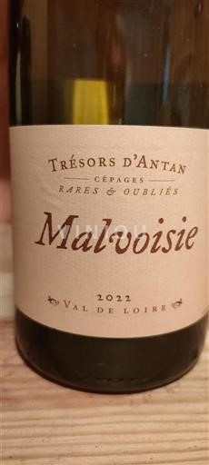 Loirevallei Niet gespecificeerd Trésors Antan Malvoisie 2022