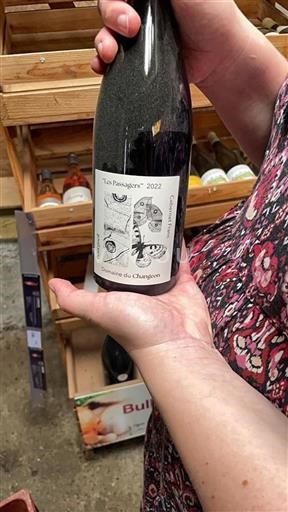 Valle della Loira Bourgueil Domaine Changeon Les Passagers 2022