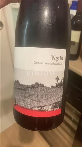 Liguria Colline di Levanto Caduffera 'Ngilù 2022