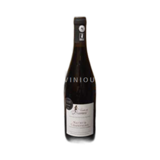 Valle della Loira Saumur-Champigny Domaine Des Hauts de Sanzier Cuve des Dames 2021