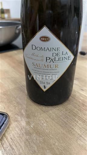 Vallée de la Loire Saumur Domaine La Paleine Non Millésimé