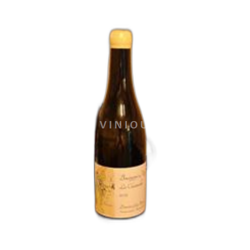 Bourgondië Bourgogne Aligoté Domaine Guy Bocard Les Chanterelles 2023