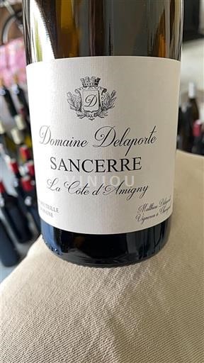 Valle della Loira Sancerre Domaine Delaporte La Côte d'Amigny 2020