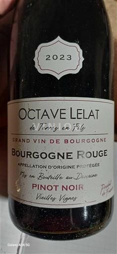 Burgundy Burgundy Rosé Octave Lelat Vielles Vignes 2023