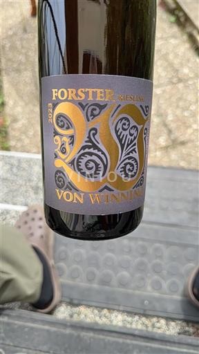 Pfalz Von Winning Forster Riesling 2023
