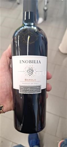 Piemonte Barolo Enobilia 2020
