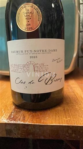 Valle della Loira Saumur Puy-Notre-Dame Domaine Grand Clos Clos de Bessay 2023