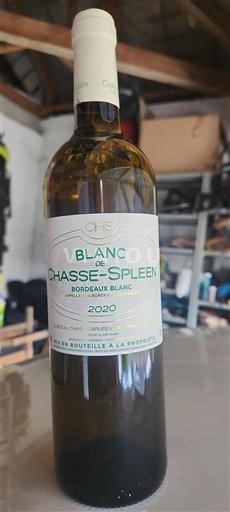 Bordeaux Bordeaux blanc Chasse-Spleen Blanc de Chasse-Spleen 2020