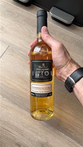Jihozápad Pacherenc-du-vic-bilh Colignac 2019