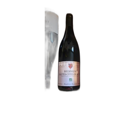 Bourgogne Hautes Côtes de Nuits Hudelot-Bajard 2023