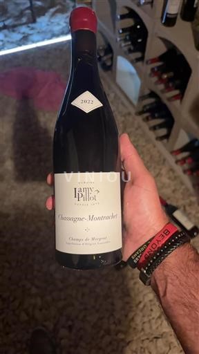 Borgogna Chassagne-Montrachet Premier Cru Domaine Lamy-Pillot Champs de Morgeot 2022