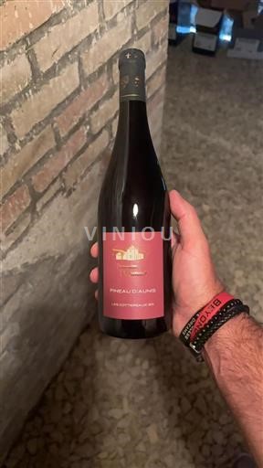Vin Rouge sec Les Cottereaux Domaine Hommes 2023 France Vallée de la Loire AOC