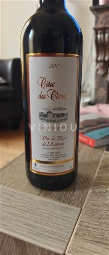 Sudoeste Não especificado Les Oliviers Côtes des Oliviers 2017