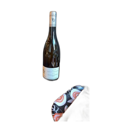 Vallée de la Loire Montlouis-sur-loire Domaine La Taille aux Loups Remus 2023