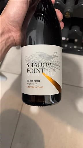 AVA californiane Monterey Shadow Point 2020