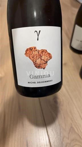 Valle della Loira Muscadet Sèvre et Maine Michel Delhommeau Gamma 2023