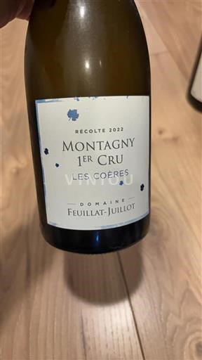 Bourgondië Niet gespecificeerd Premier Cru Domaine Feuillat-Juillot Les Coères 2022