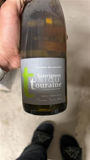 Valle della Loira Touraine François Xavier Barc La croisée des parcelles 2020
